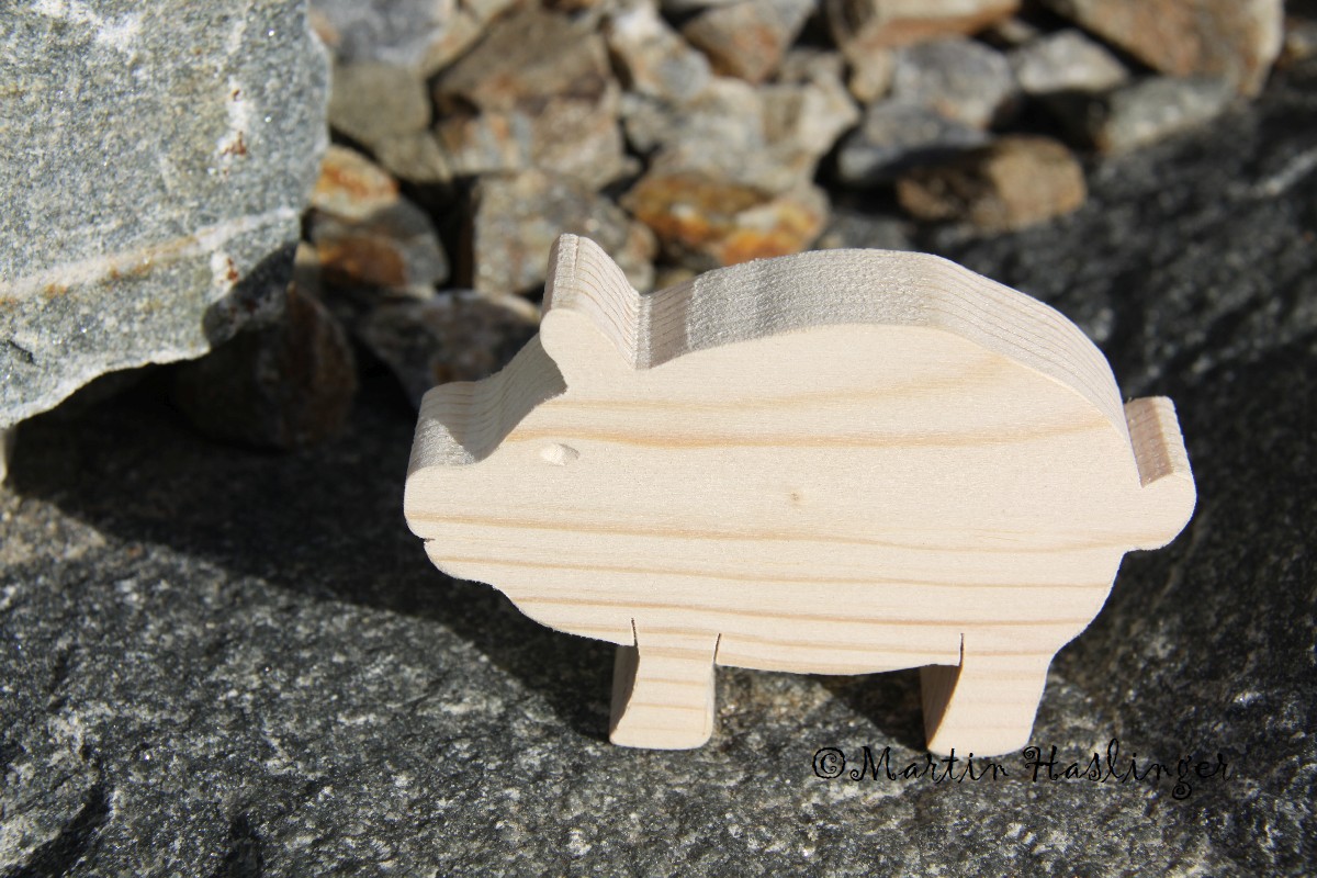 Schwein